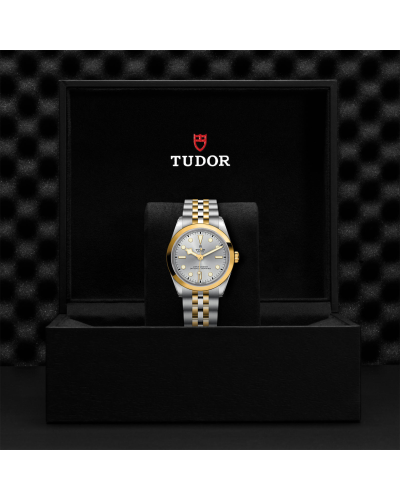 Tudor Black Bay 31/36/39/41 S&G 36 mm steel case, Steel and yellow gold bracelet (watches)